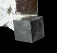 Wide, Natural Pyrite Cube In Rock - Navajun, Spain #63215-4